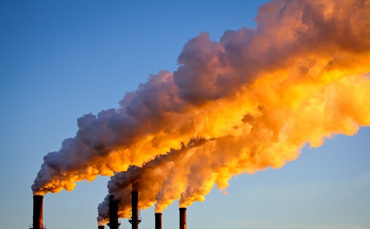 Climate Change: Affecting Nutrient Cycles in Ecosystems